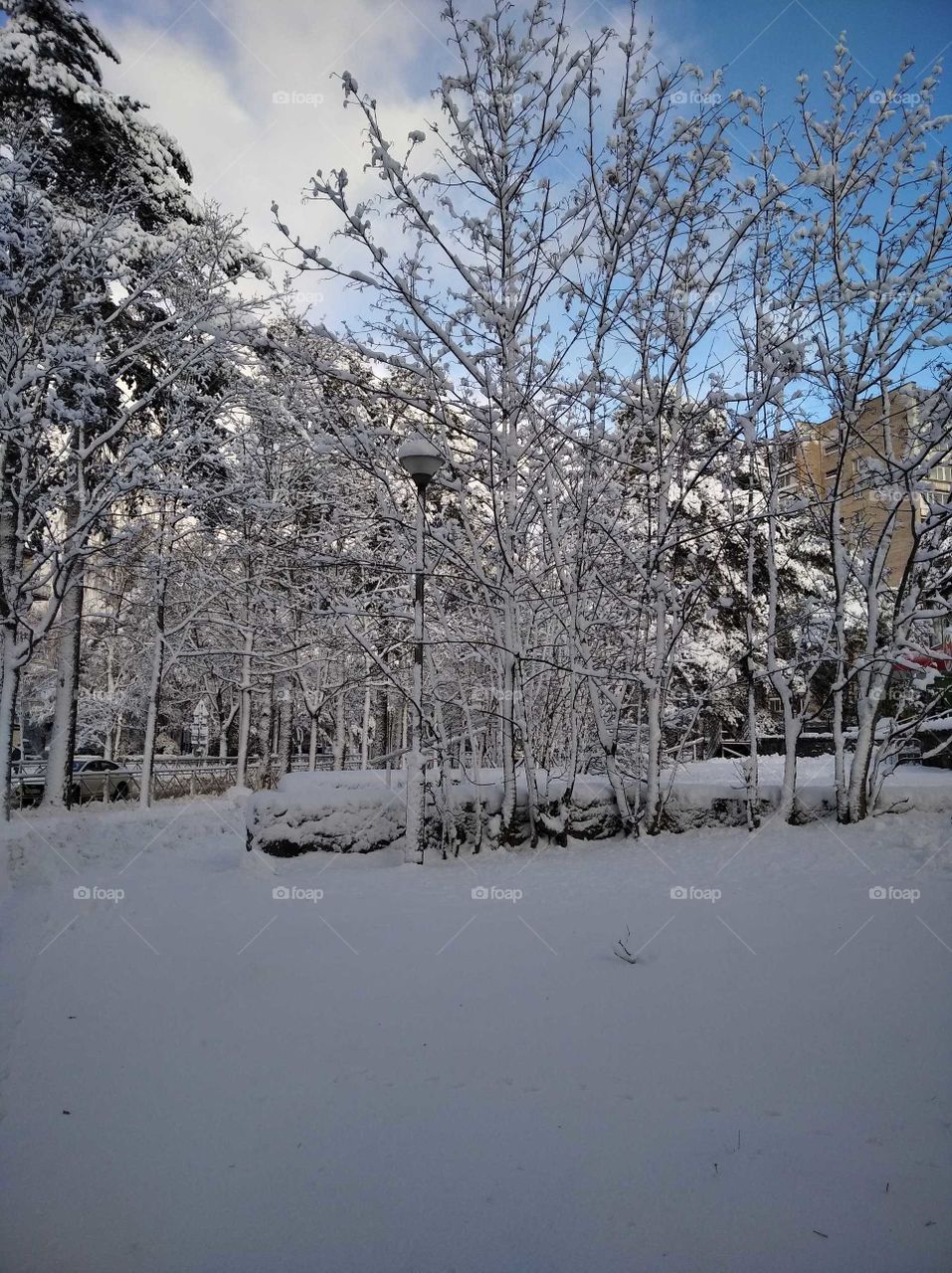 первый обильный снегопад