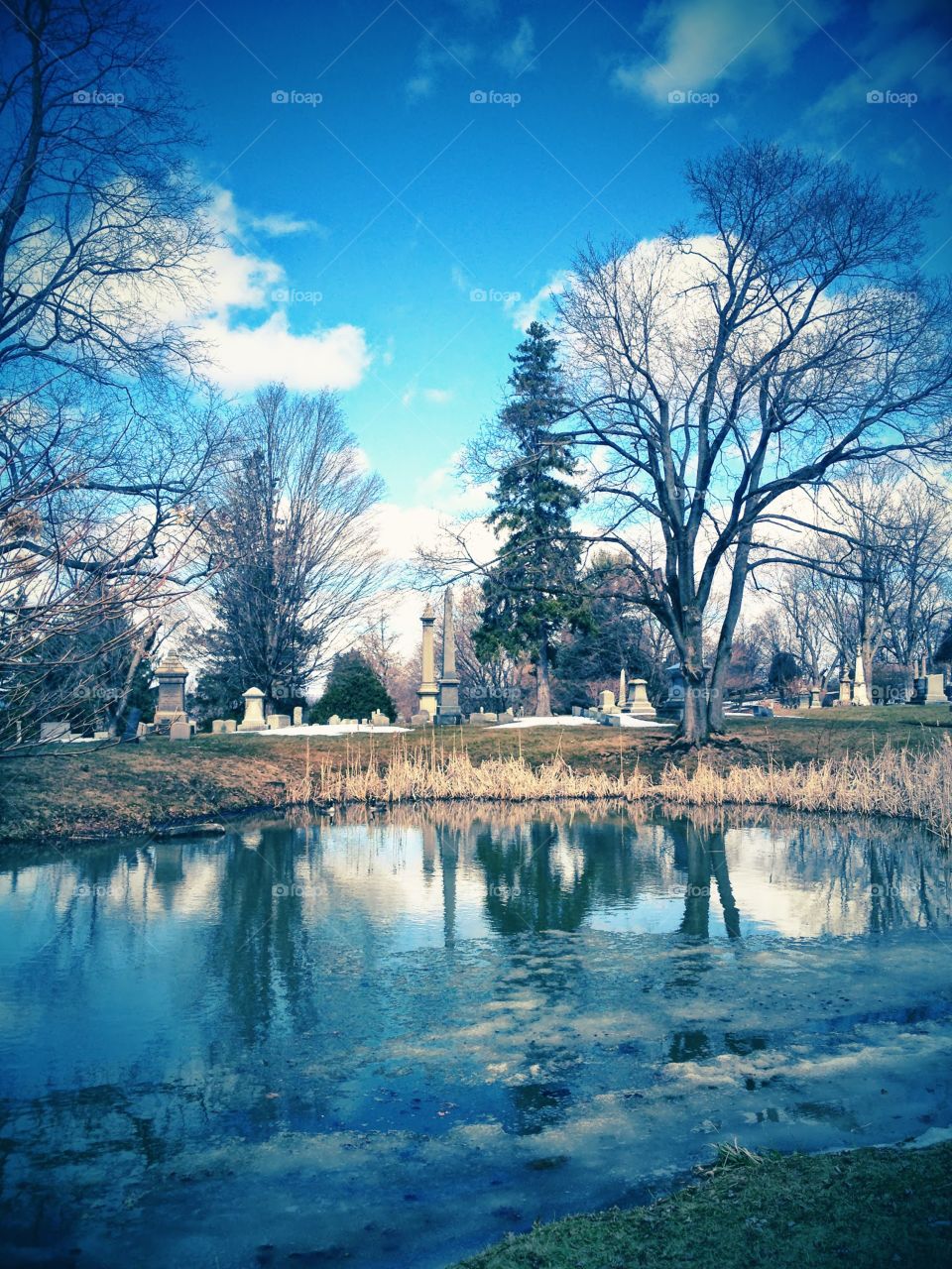 Pond in the cemetery 