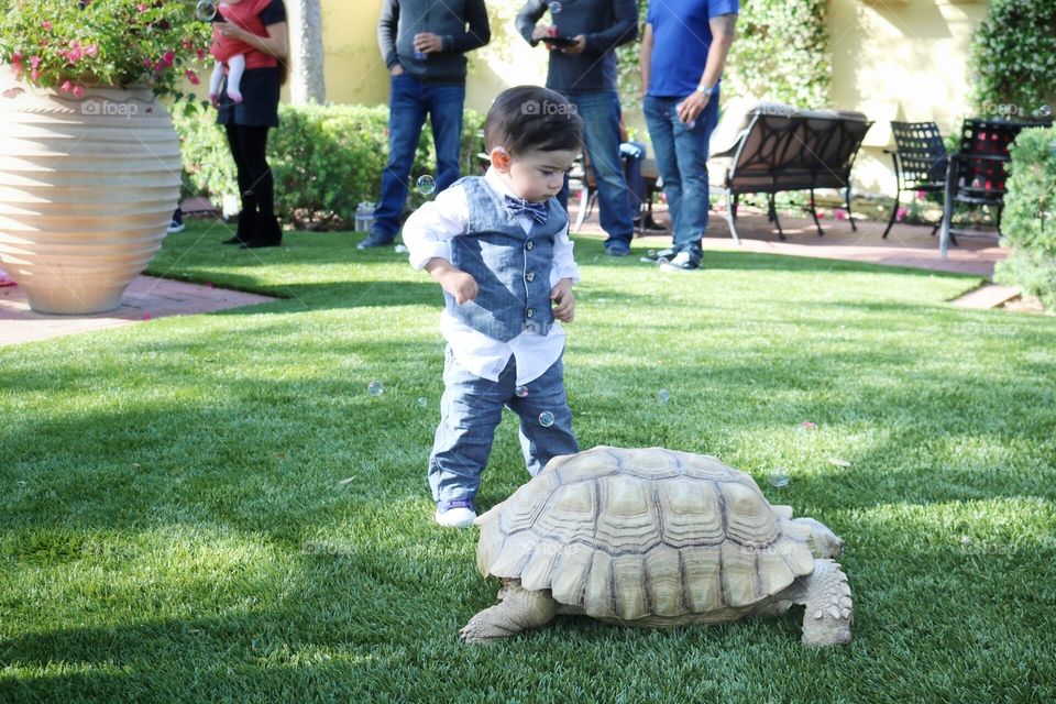 Grass, Park, Lawn, Garden, Child