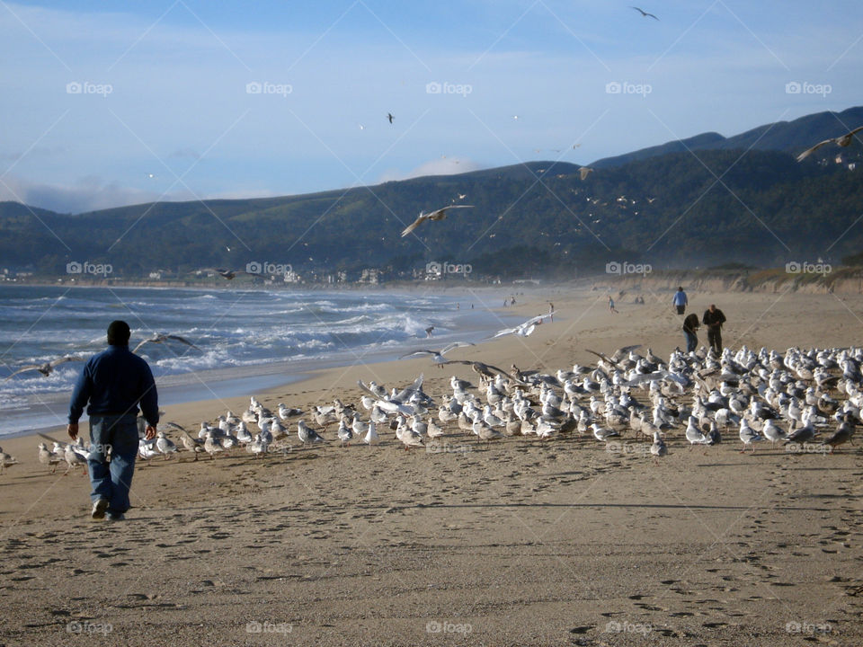 Beach, birds, mountains, people - what more can we ask for.
