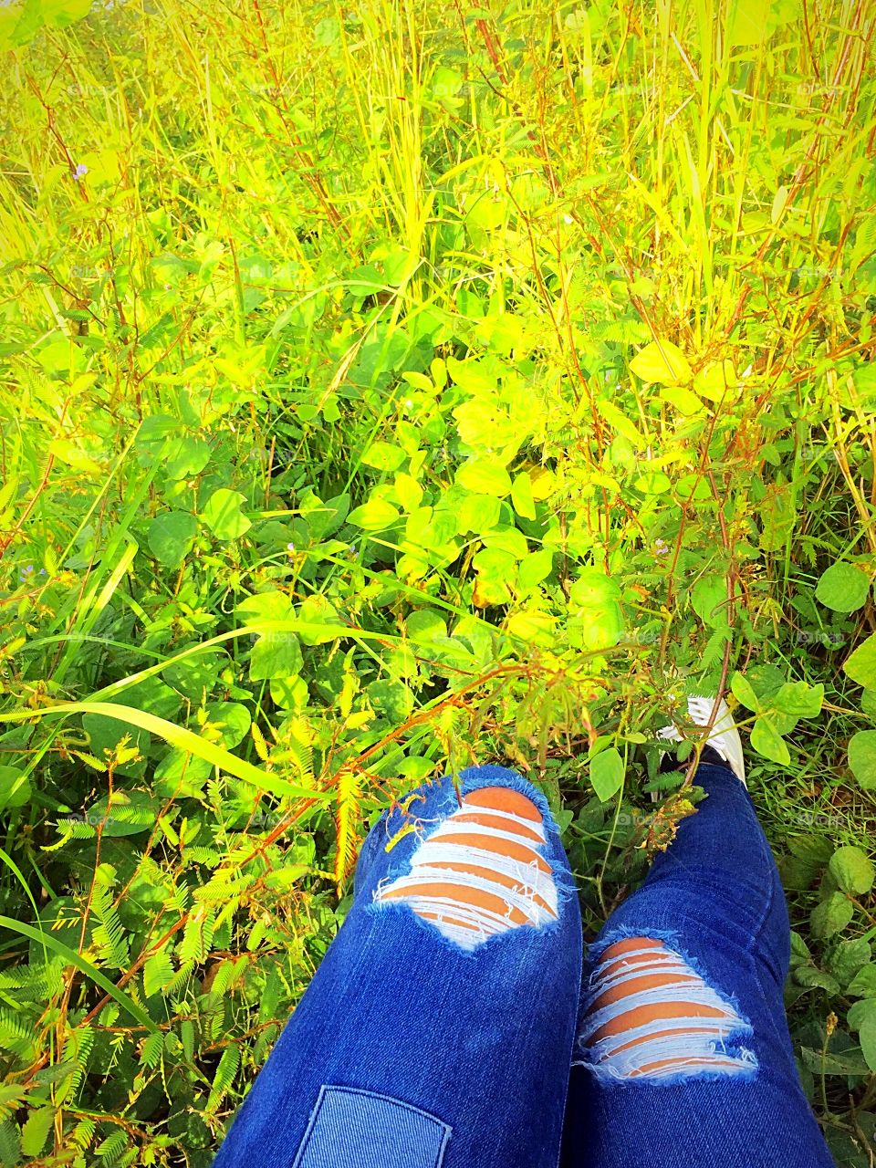 The grass and my ripped jeans