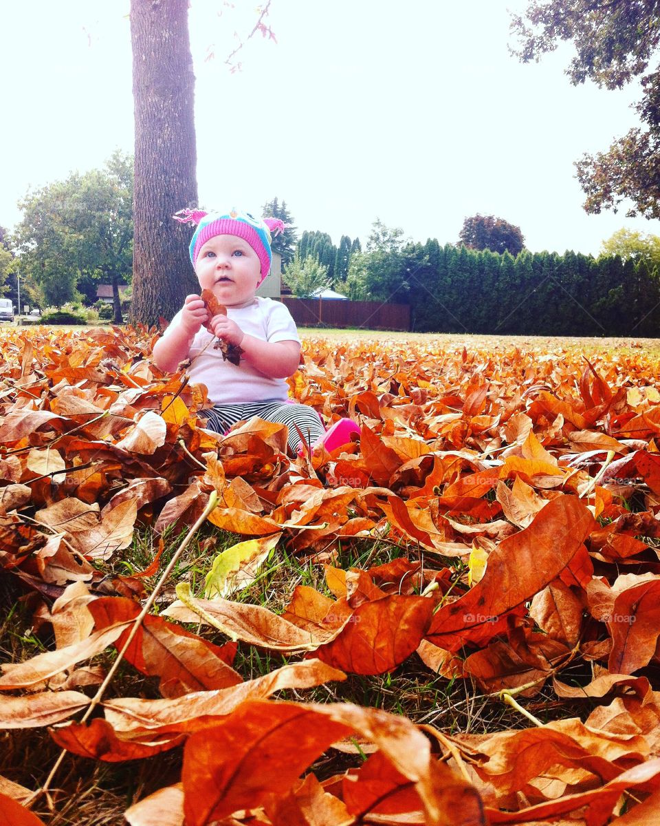 Toddler girl sitting on dry leaves during autumn