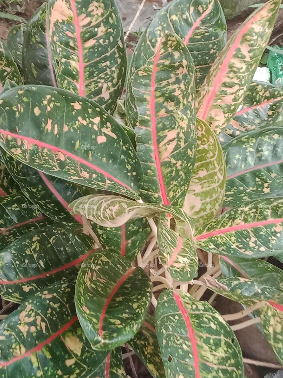 envirment  will be nice with this