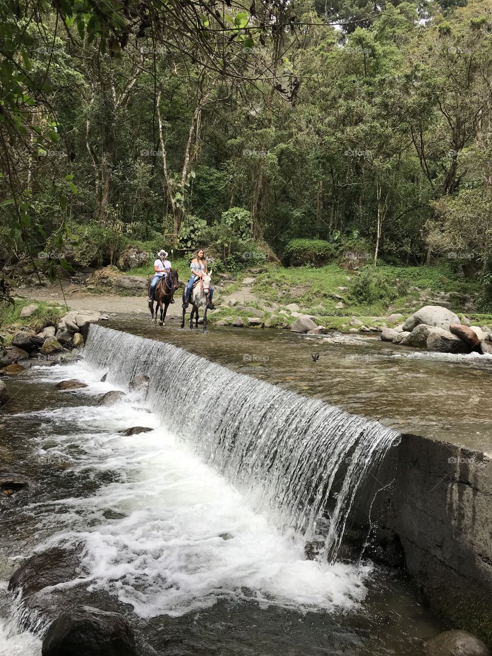 Quebrada Quindio 
