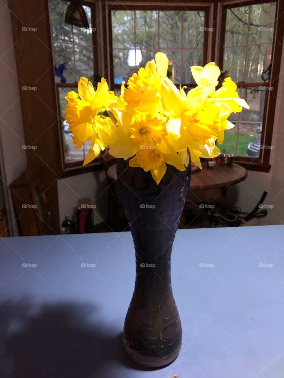 Daffodil flowers  