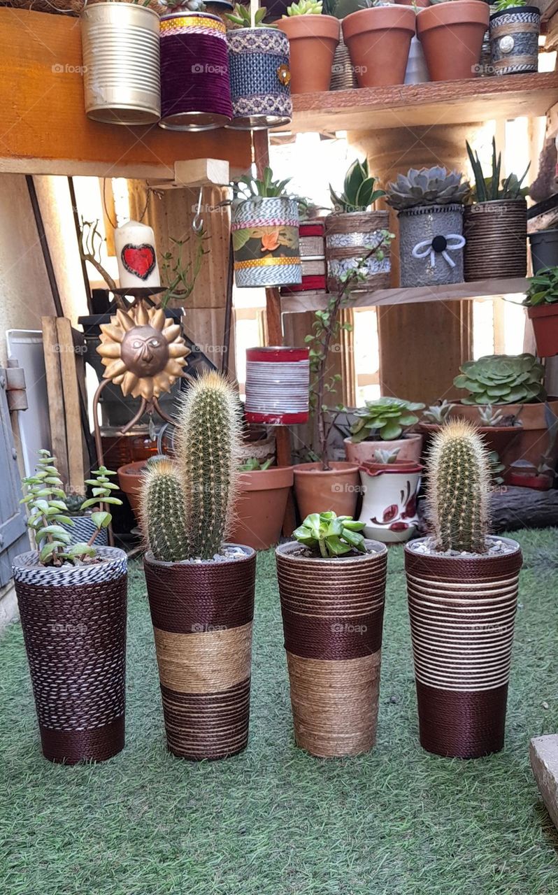 mes pots customisés