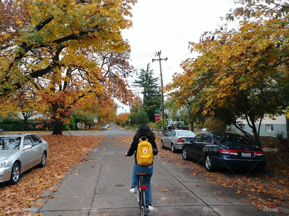 Portland in the fall