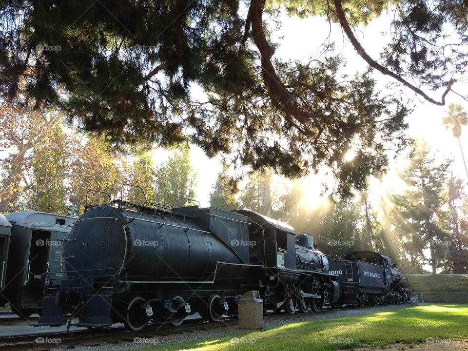 sun trees park train by patrickshen