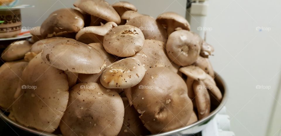 Mushrooms