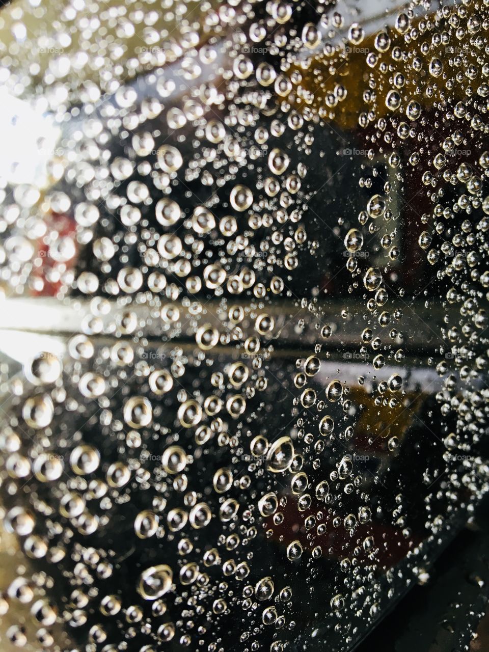 I lose the warrior game but 