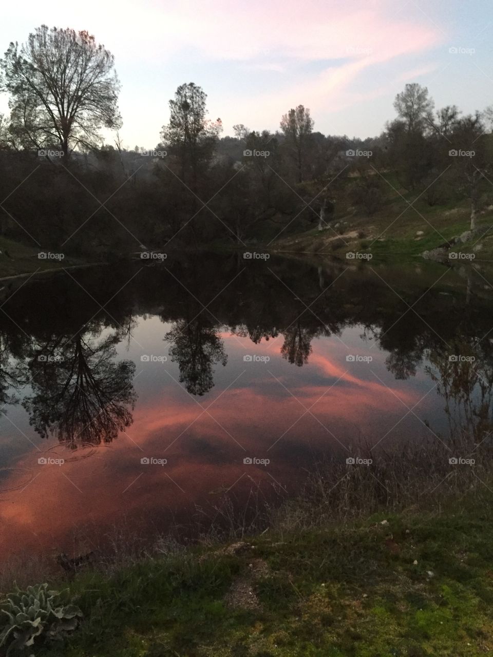 Red reflections 