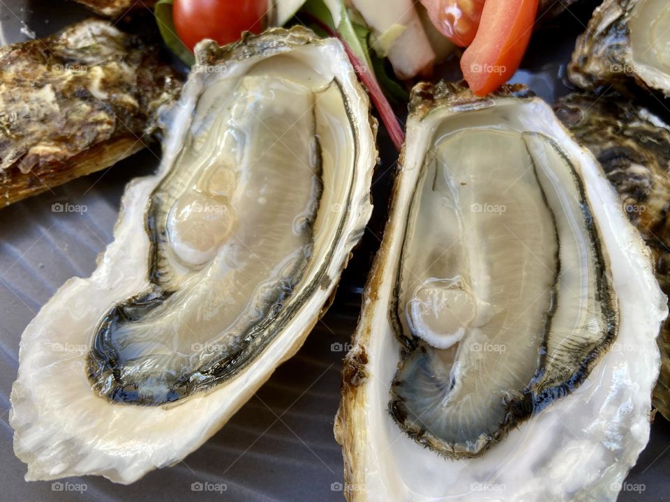 Oysters
