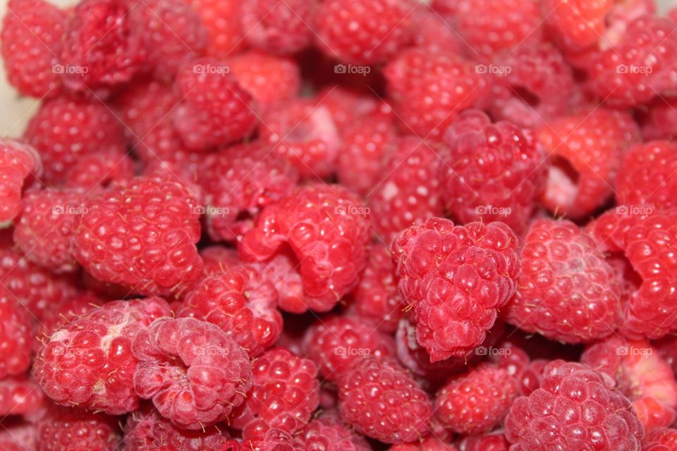 Up close raspberries 