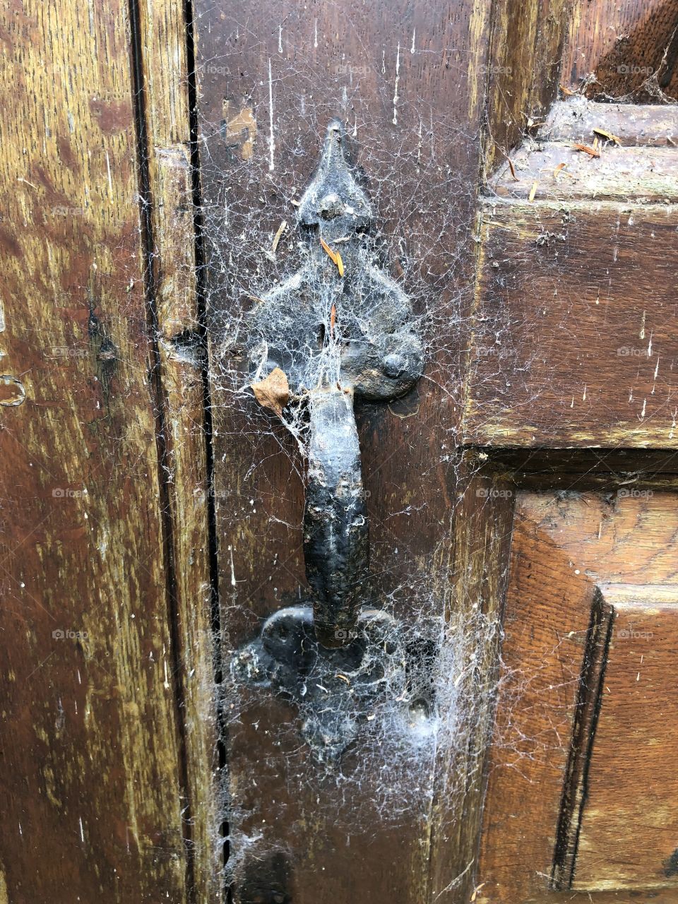 A door knob to an attractive community building, where the entrance has been for some reason neglected.
