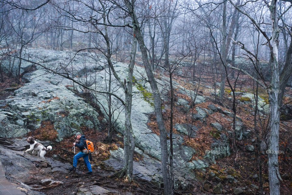 A man takes an early hike with his best friend 