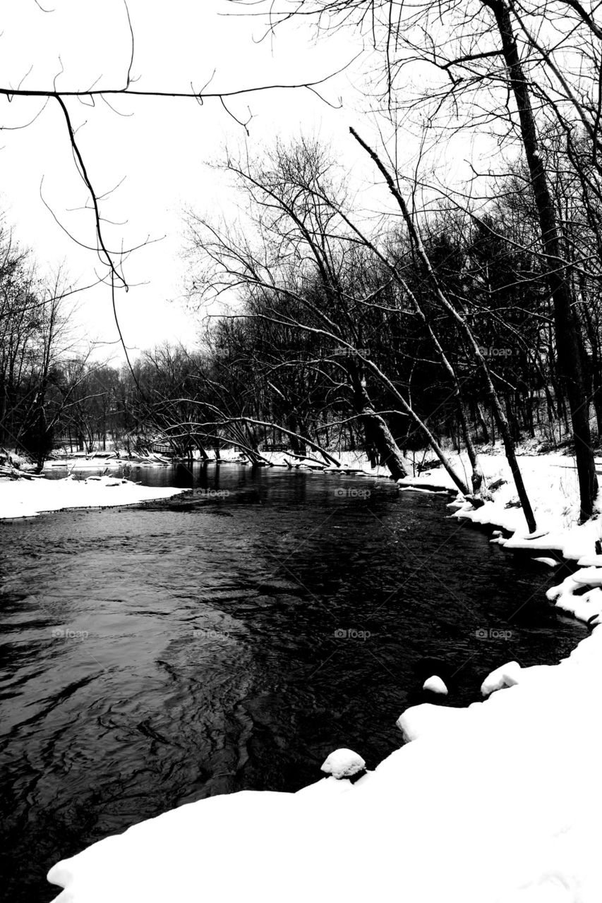 a black and white river shot