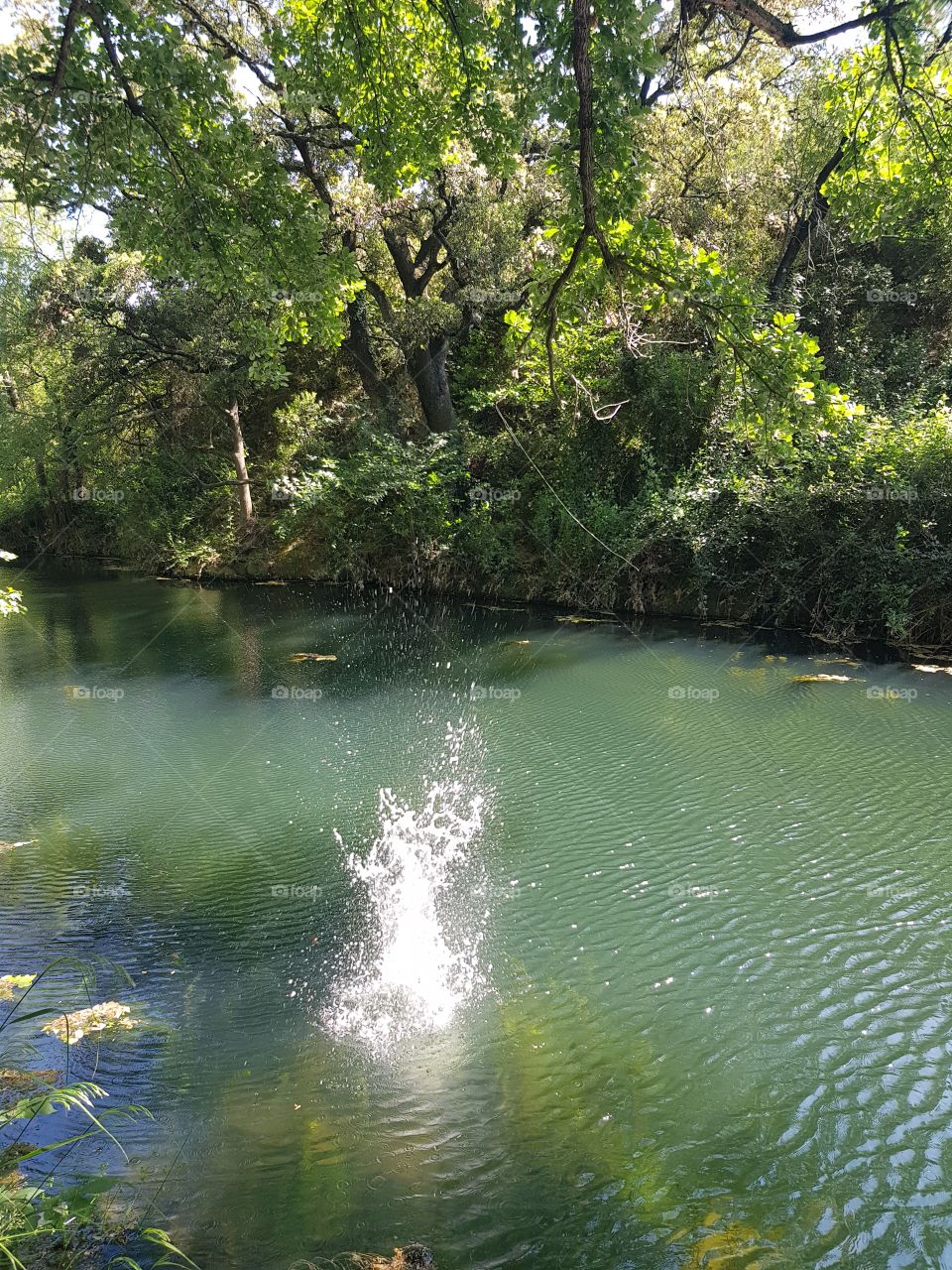 Take time in the nature, summer time 😉😉😉