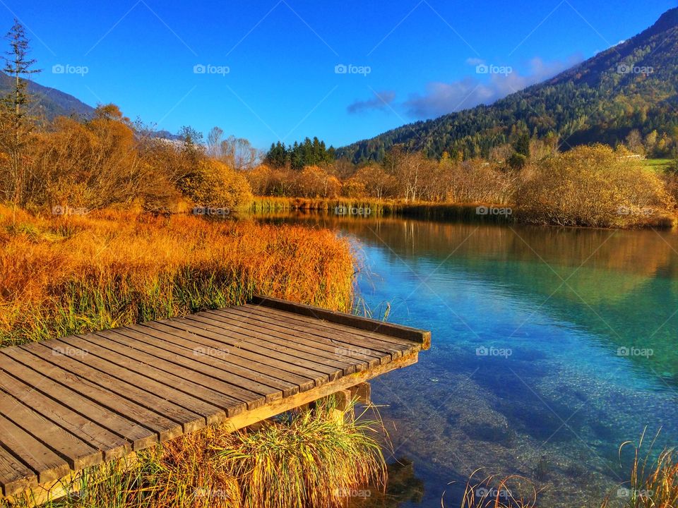 Scenic view of lake in autumn