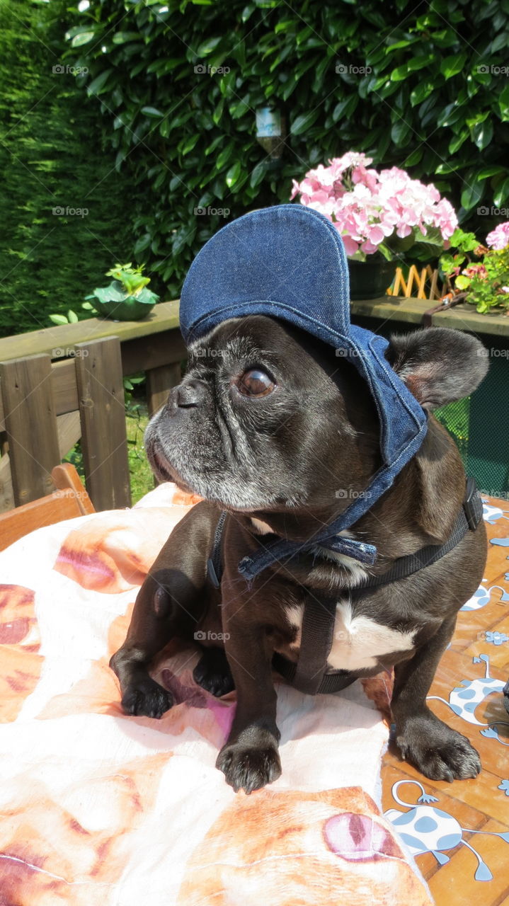 My darling baby with her cap