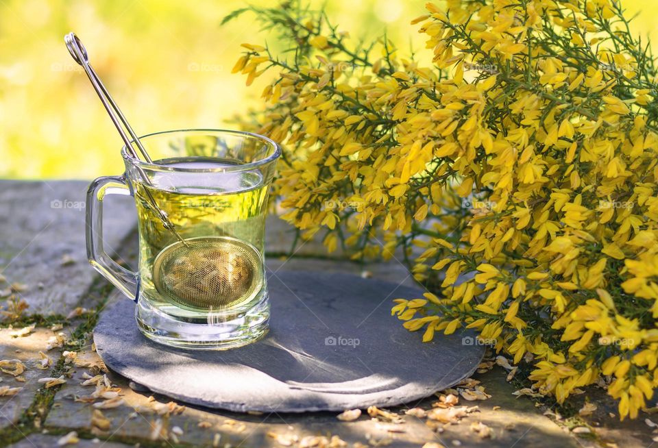 Gorse flower tea in a clear glass mug, with a bunch of yellow gorse