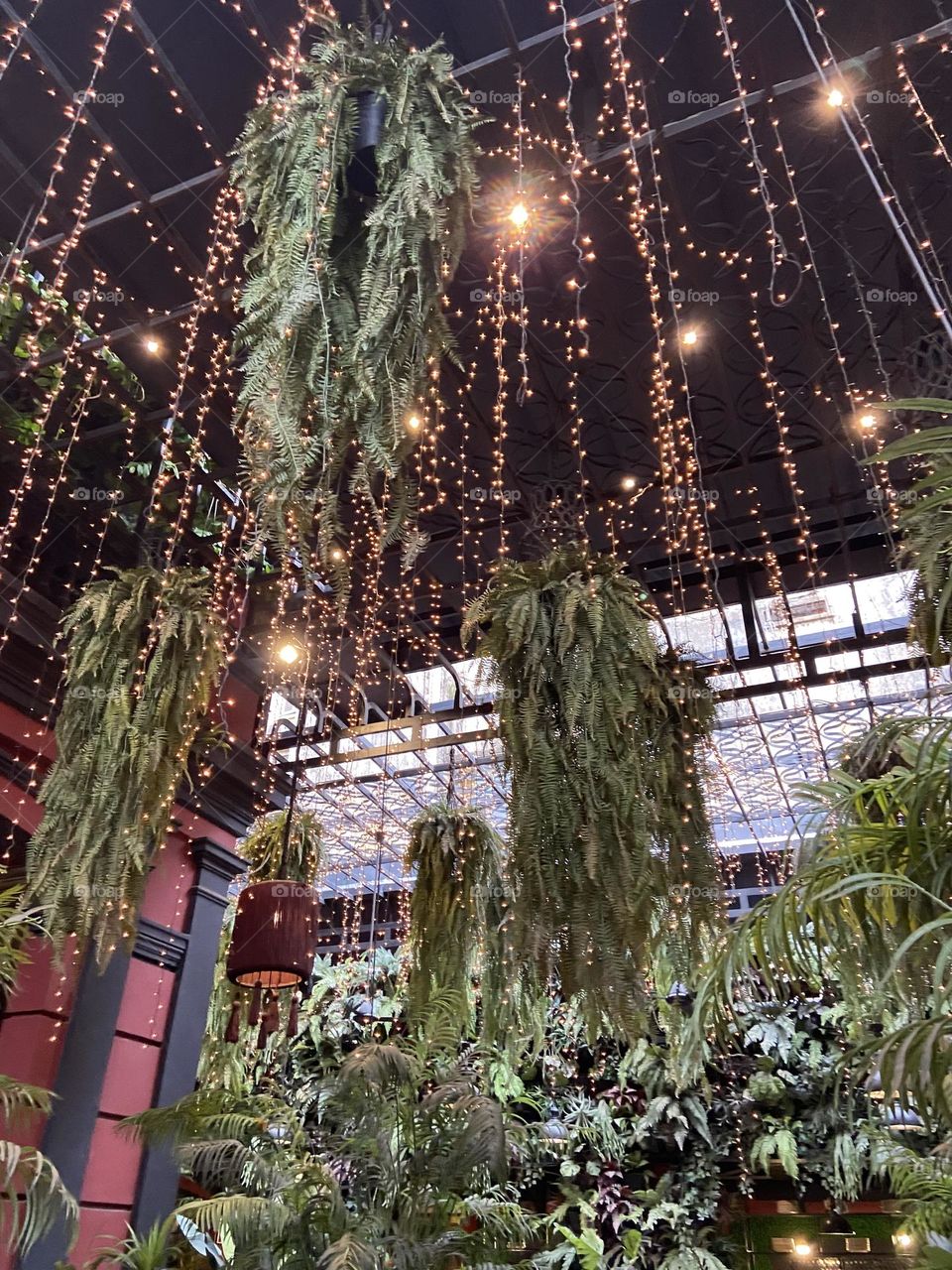 Aesthetically pleasing restaurant with pretty lights and plants 