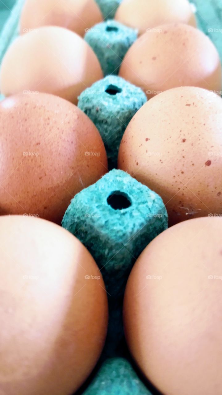 Ovos.eggs