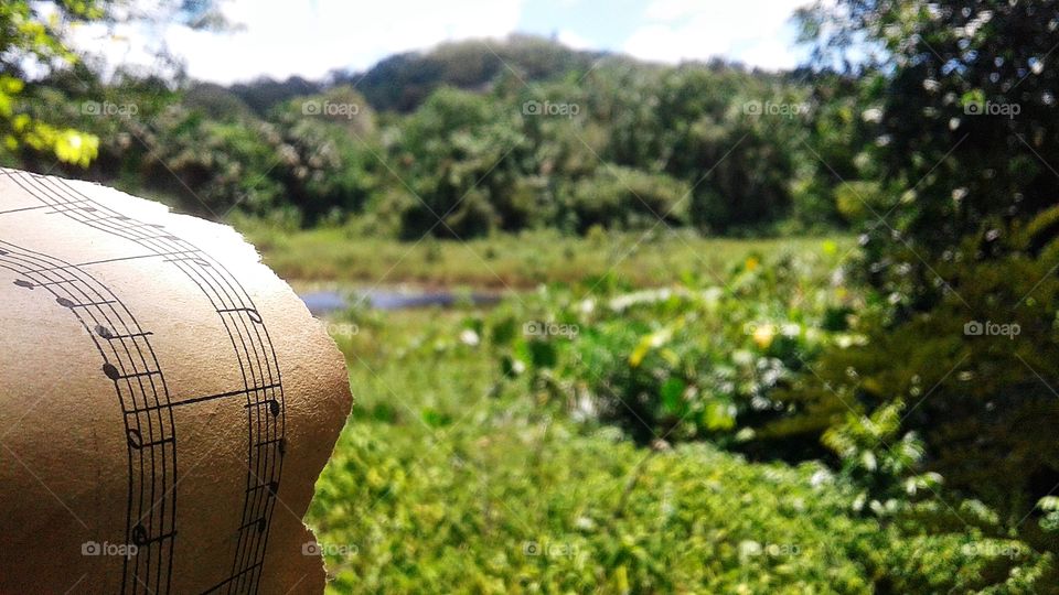 music and nature