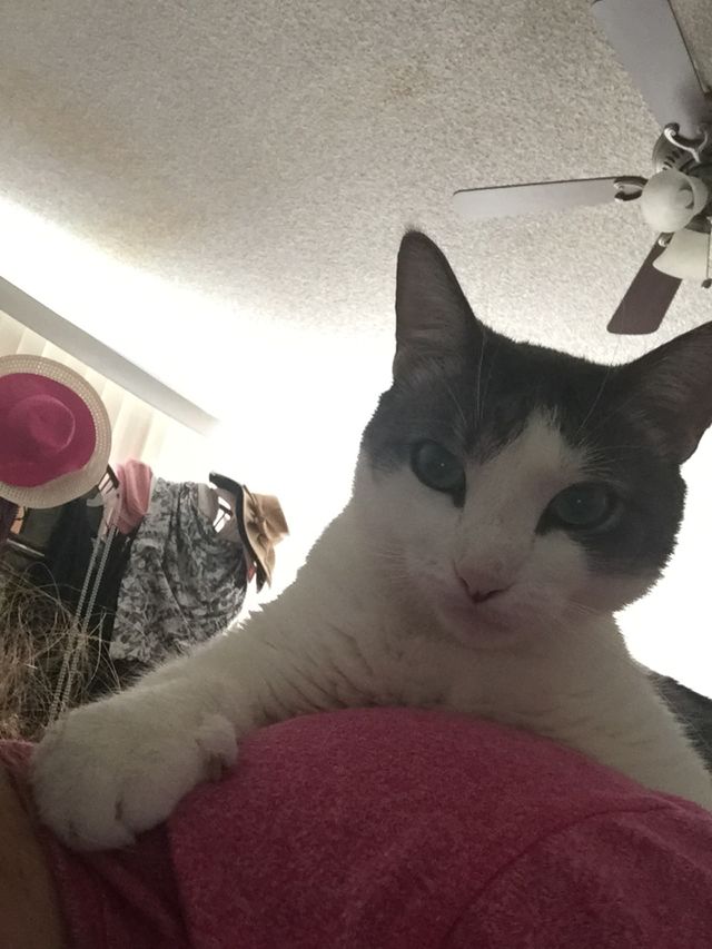 Wake up Mom