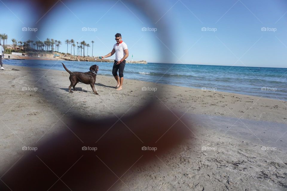 Beach#ring#human#dog#sea#play