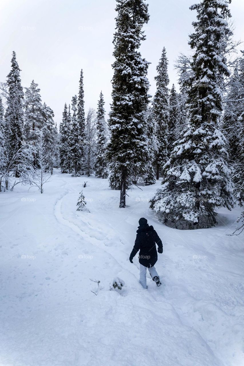 Walking through the snow