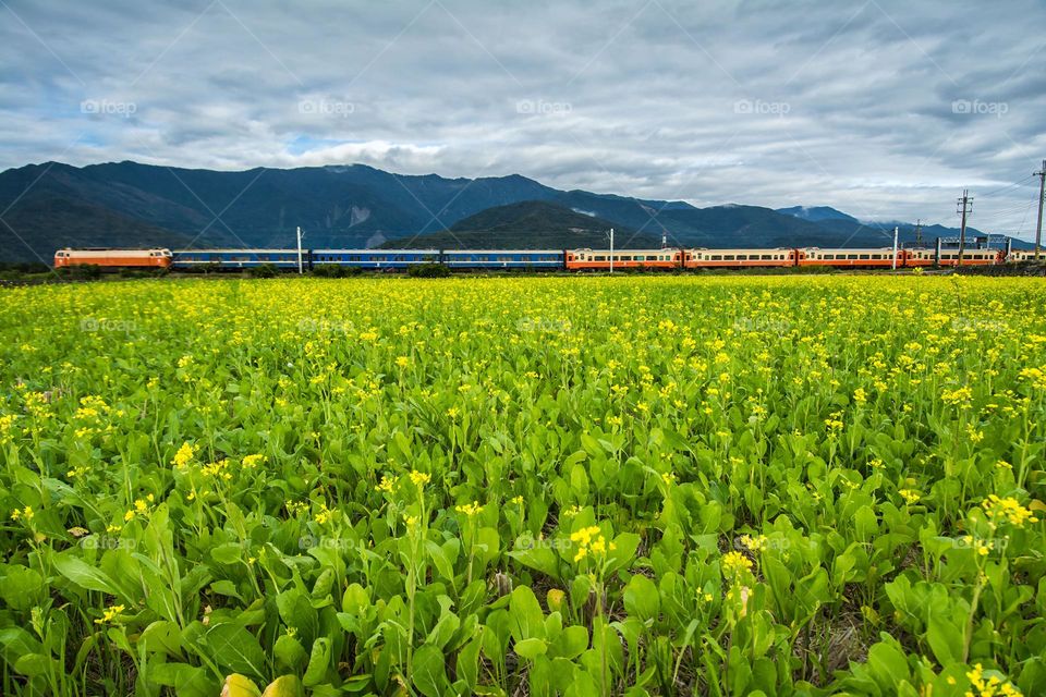 Beautiful mountain and farm scenery