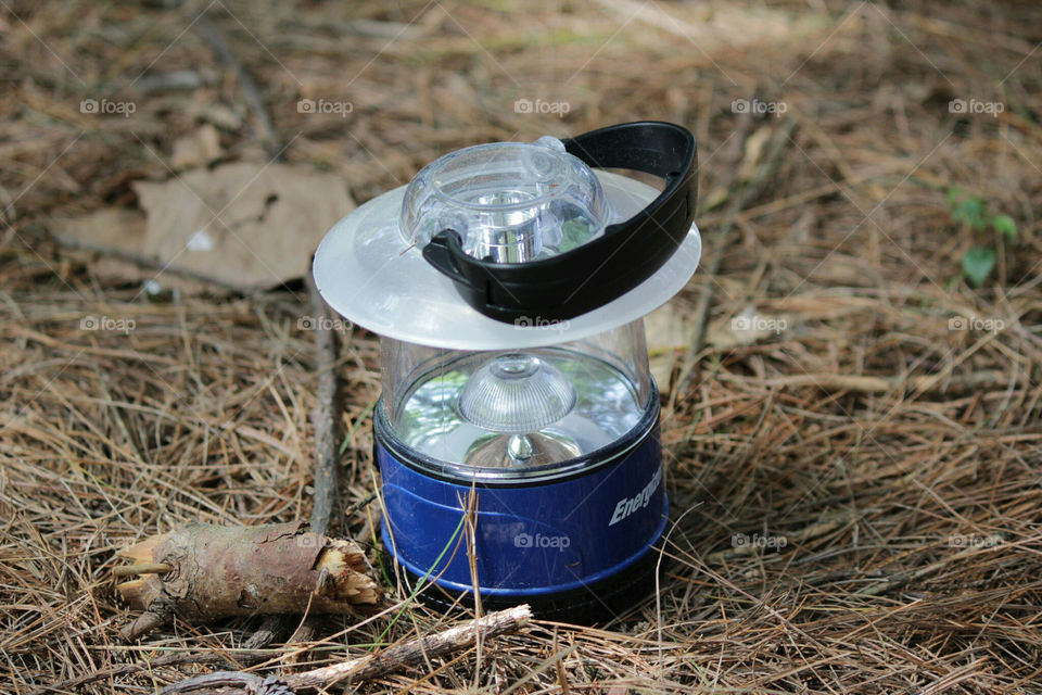 Lantern on pine needles