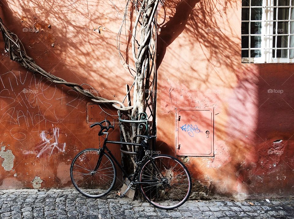 Bicycle against the wall