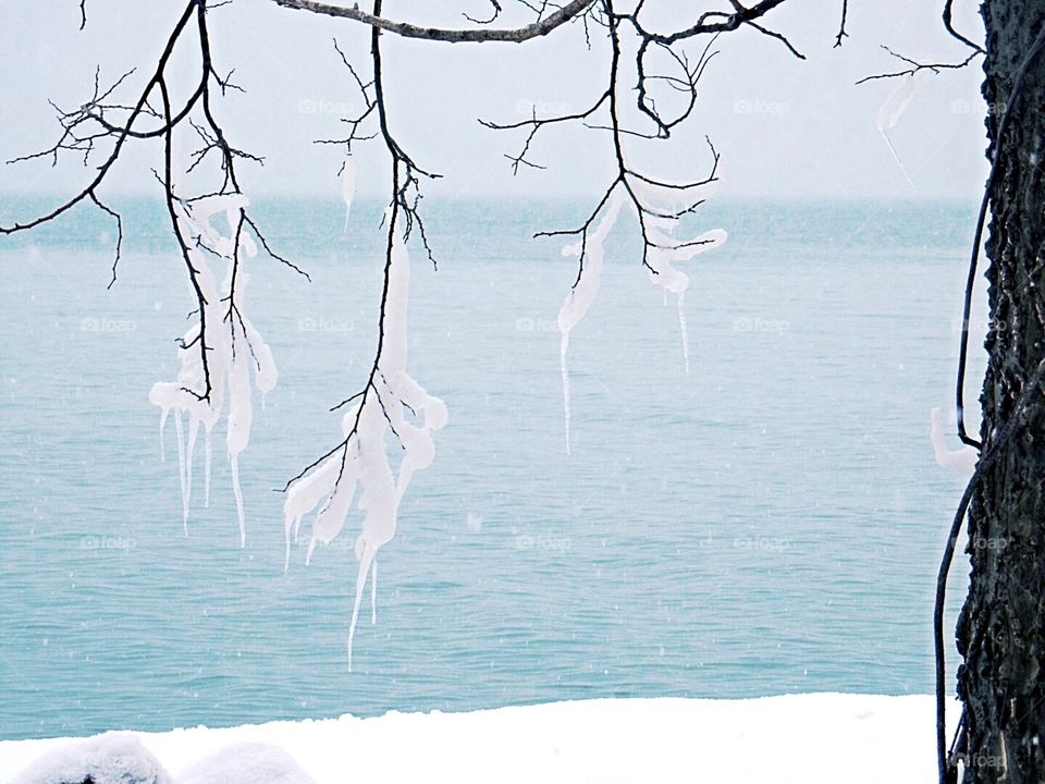 Point Pelee winter at park