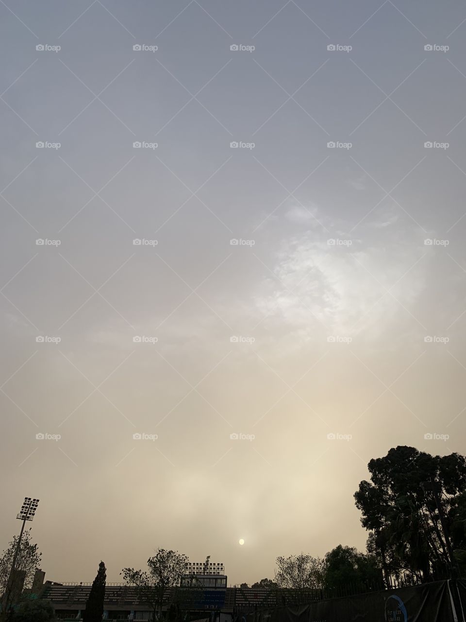 A little sunshine under a sad sky