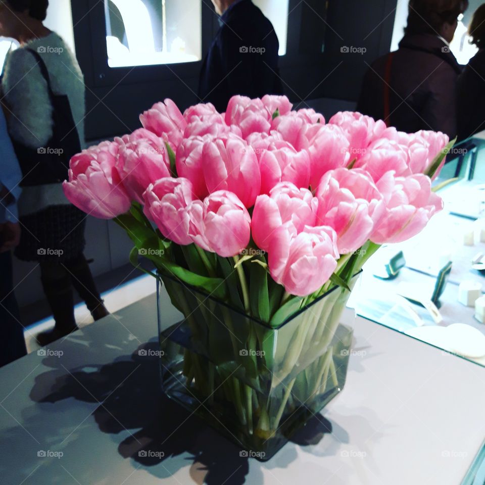 bouquet de tulipe a Bruxelles