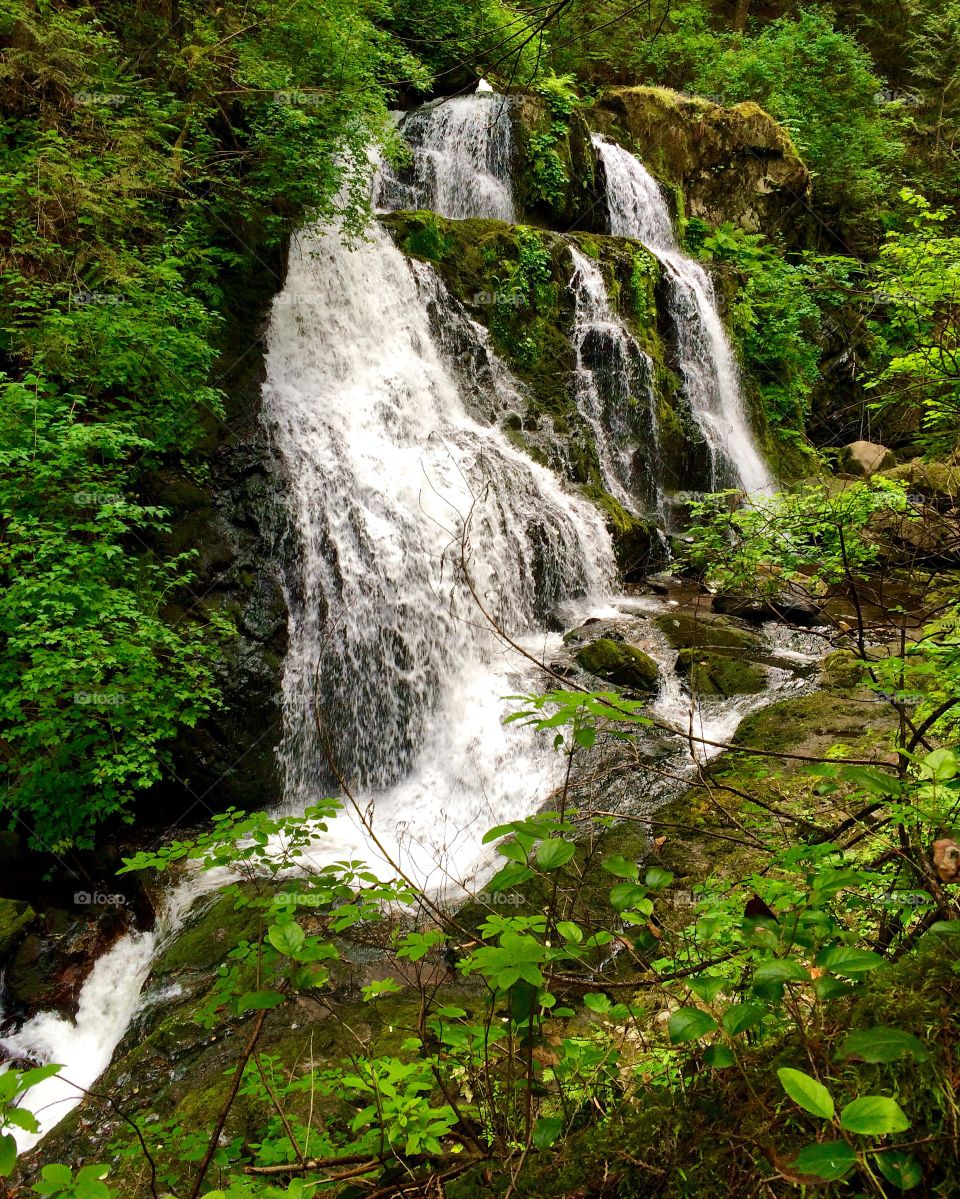 The beauty of nature