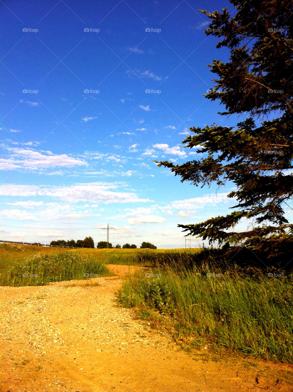 sky blue summer clouds by pellepelle