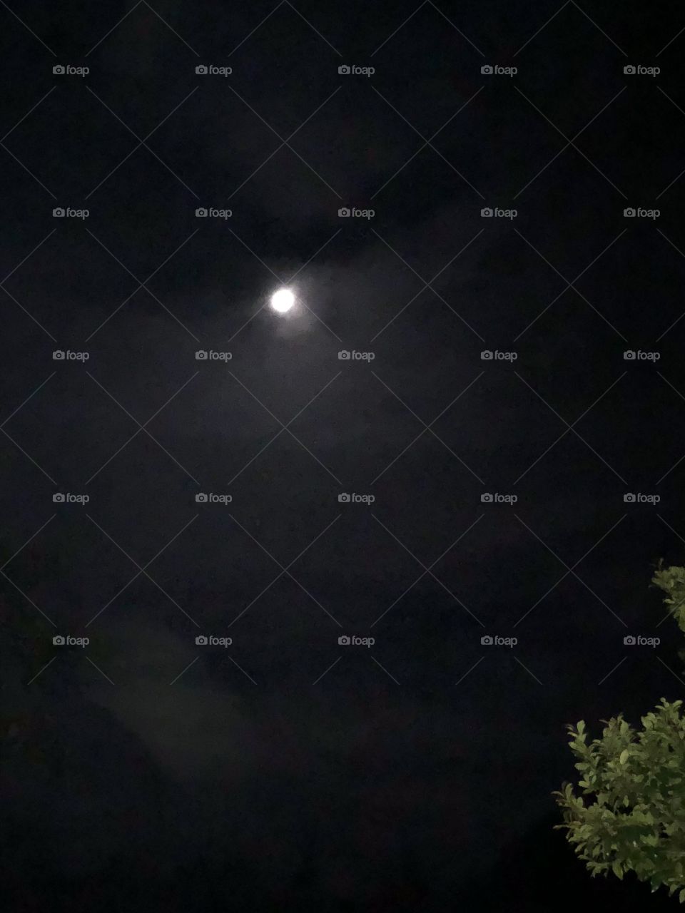 Moon shining at night