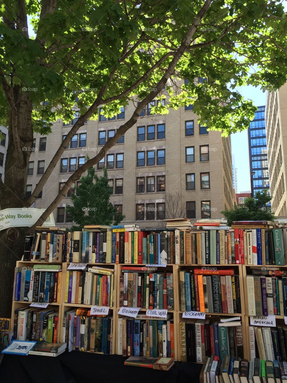 Literature festival in Chicago