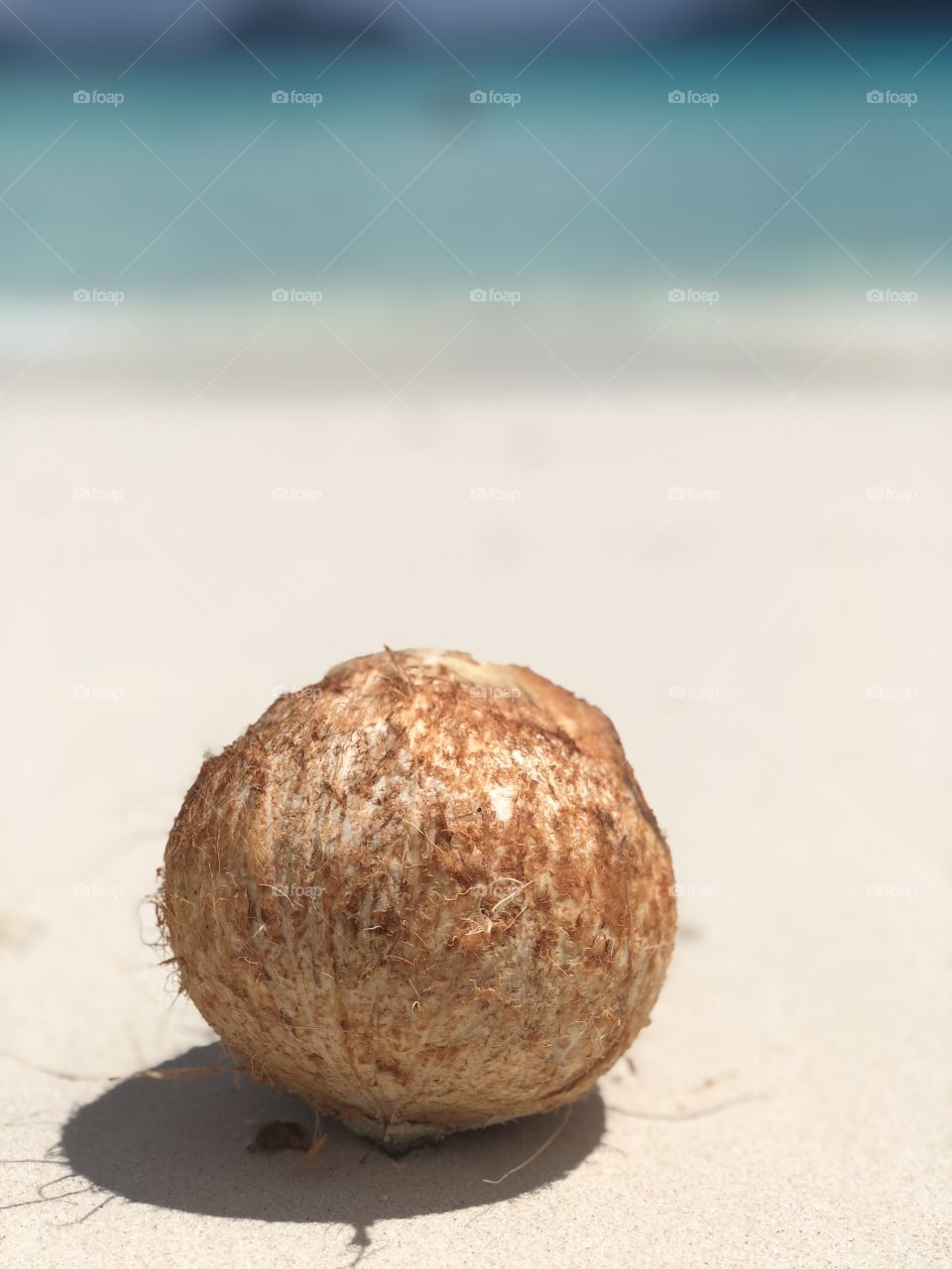 Fresh coconut at champagne beach 