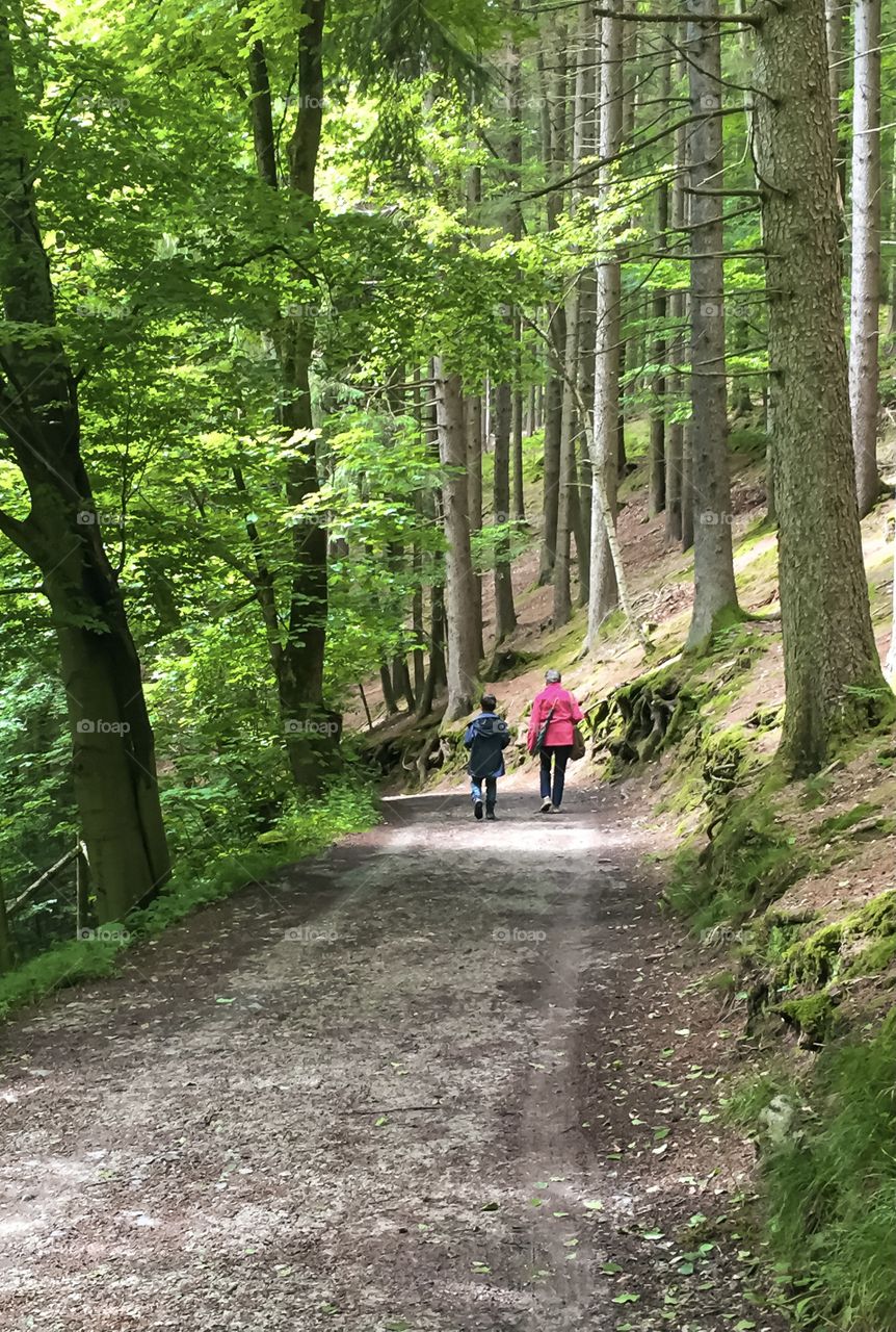 A boy and grandma are walking in the nature park