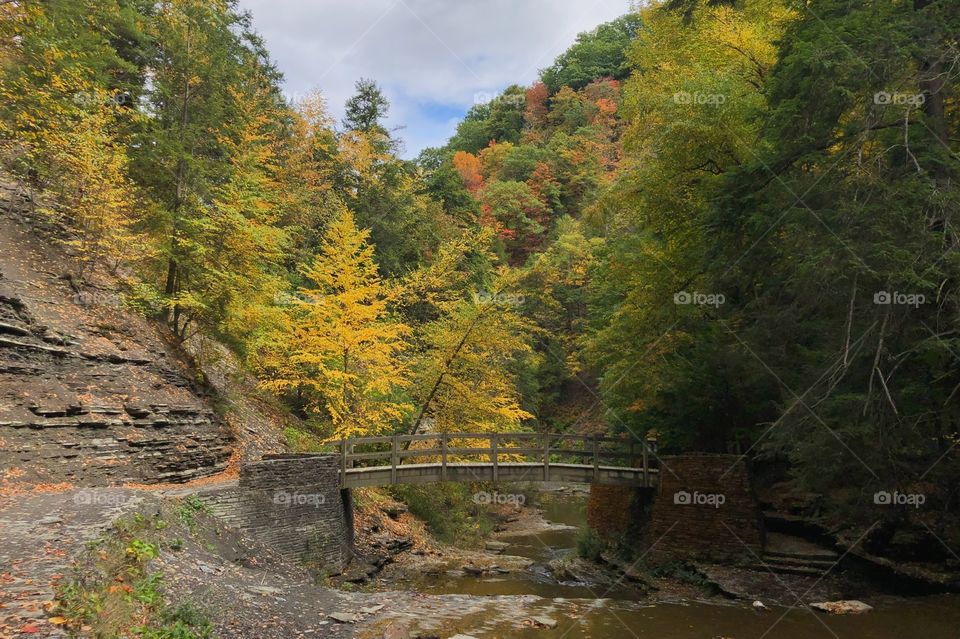 Fall views at Stony Brook State Park