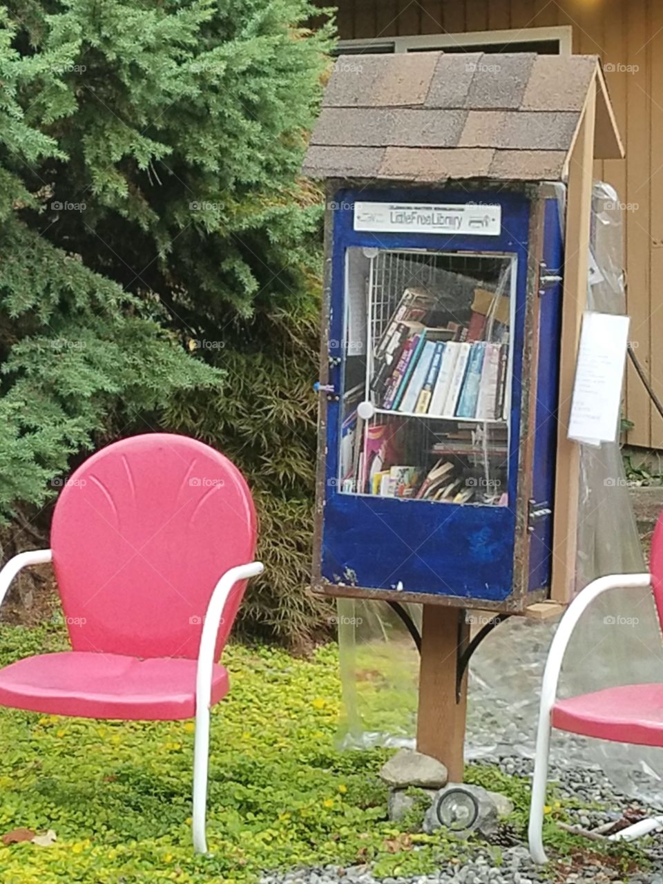 blue little library