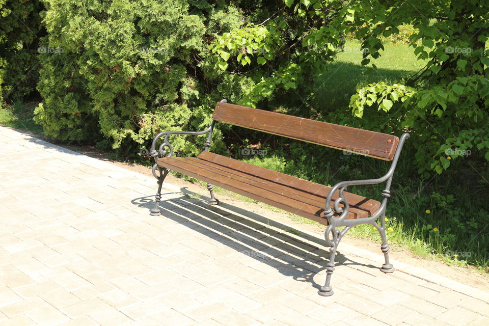 bench