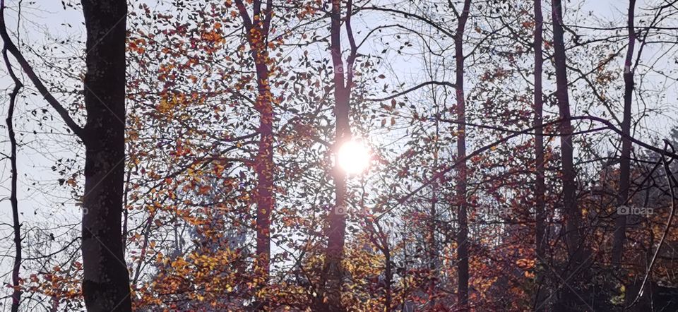 Herbst in Österreich