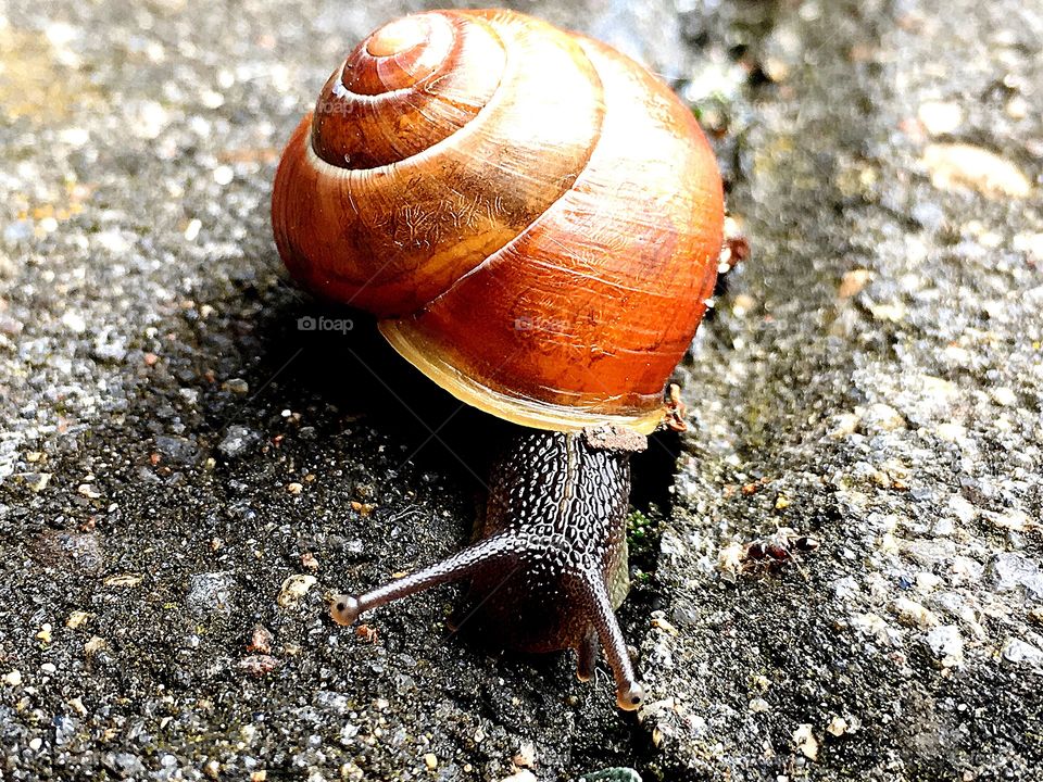 Captured with iPhone 6s Plus 