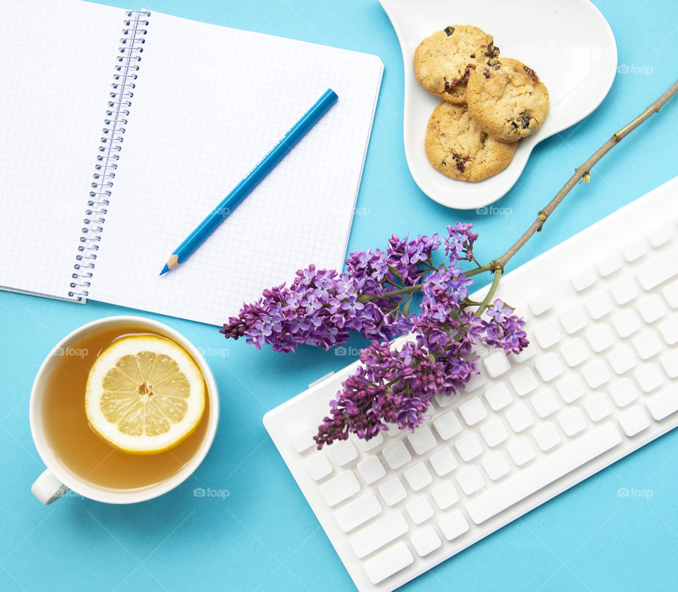 Flat lay on blue background