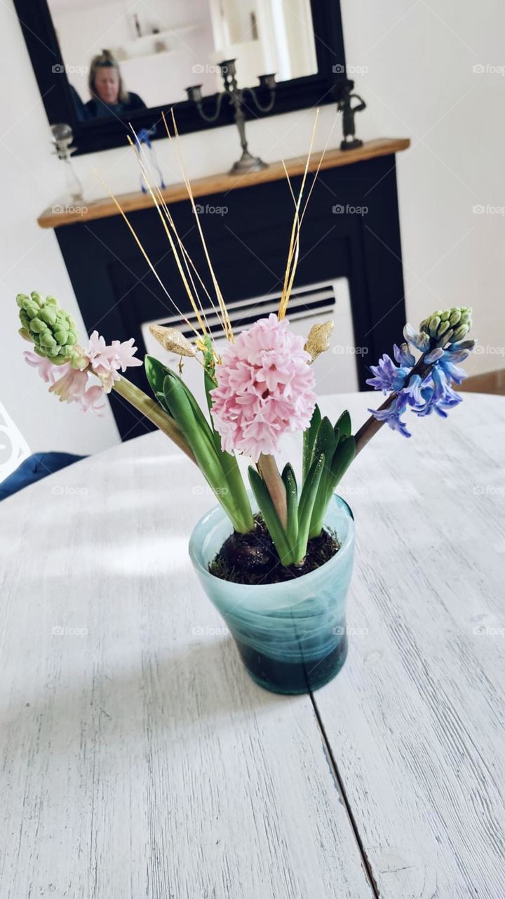 Winter bloom
