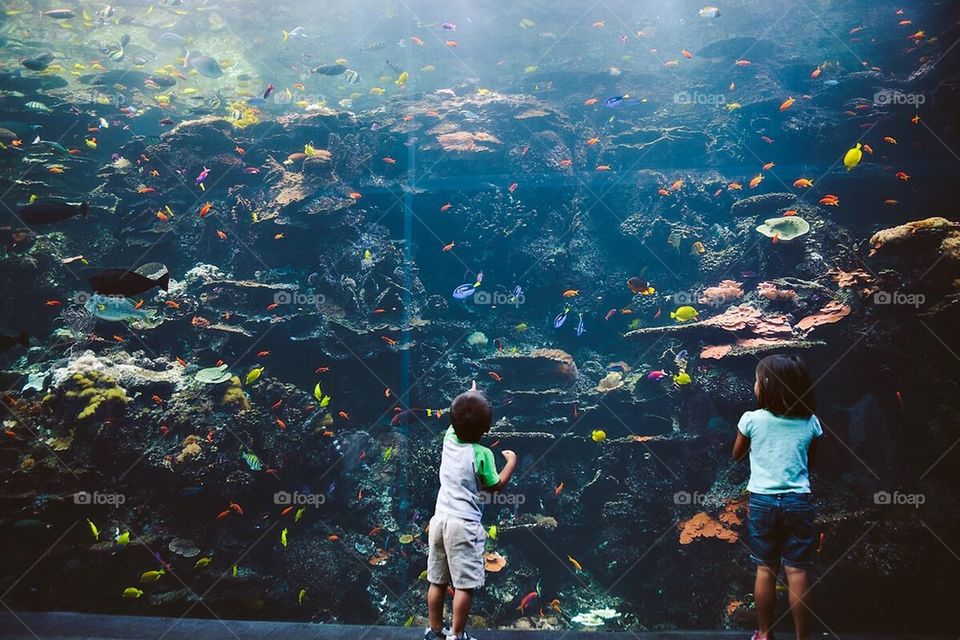 Aquarium